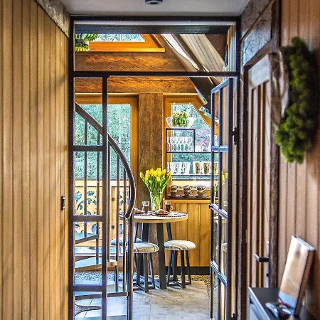 Brzozowa Osada - Premium 木屋 扎科帕内