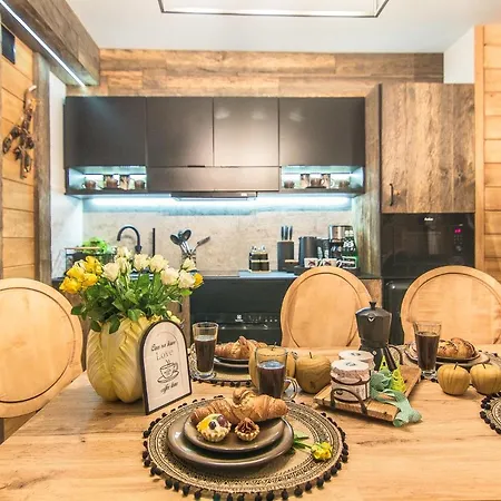 Brzozowa Osada - Premium 木屋 扎科帕内